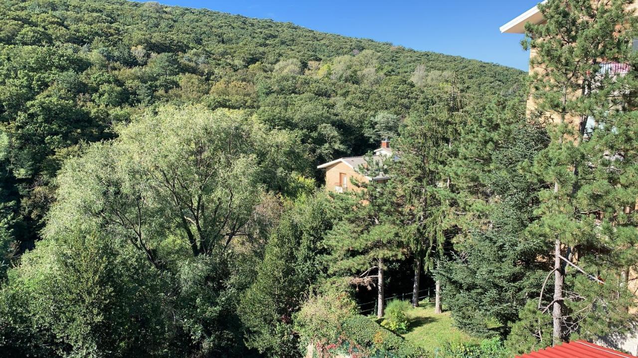 Al Bosco Incantato Triëst Buitenkant foto